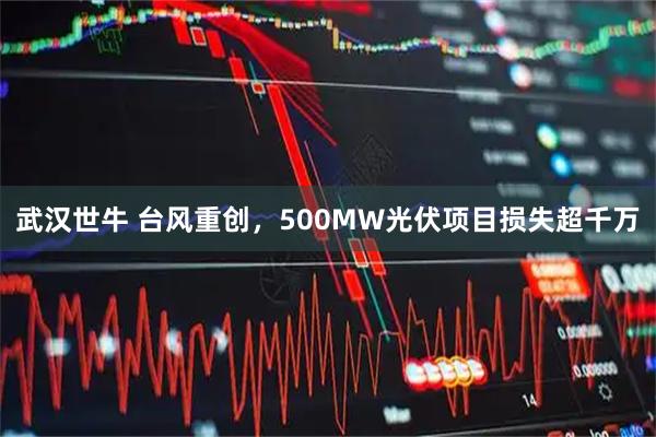 武汉世牛 台风重创，500MW光伏项目损失超千万