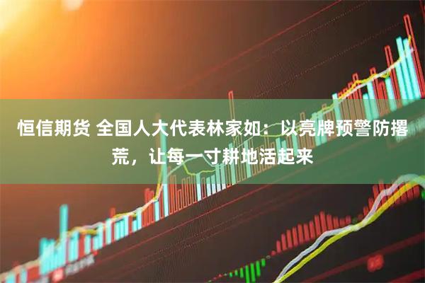 恒信期货 全国人大代表林家如：以亮牌预警防撂荒，让每一寸耕地活起来