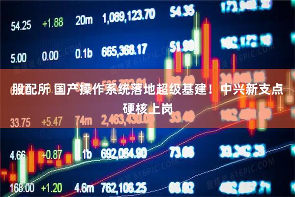 股配所 国产操作系统落地超级基建！中兴新支点硬核上岗